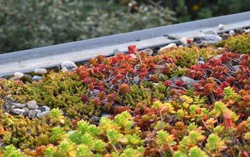 the cost of Deepdale green roof installation